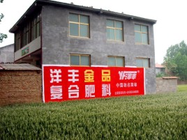 三门峡如何让墙体广告展现最大化效果