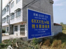 三门峡墙体广告质量分析