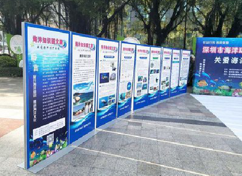 三门峡KT板的种类和知识。